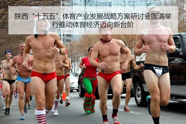 陕西“十五五”体育产业发展战略方案研讨会圆满举行推动体育经济迈向新台阶